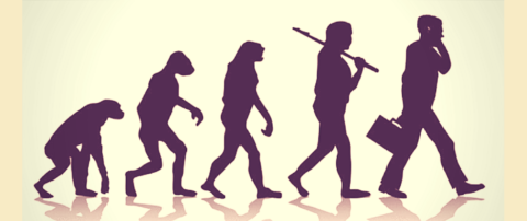 Antropoloji Nedir Insanin Evrimi